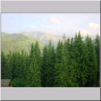 02-06-icnnsc33.jpg