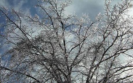 Ice-172.jpg