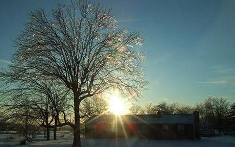 Ice-205.jpg