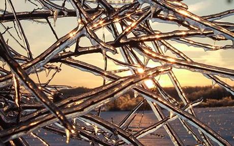 Ice-247.jpg