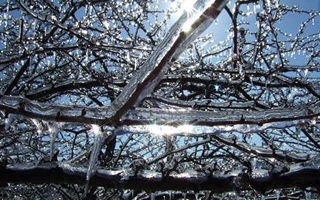 Ice-318.jpg