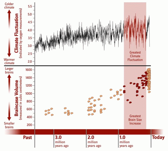 Klimat i ewolucja mózgu