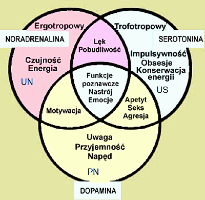 Cloninger-diagram