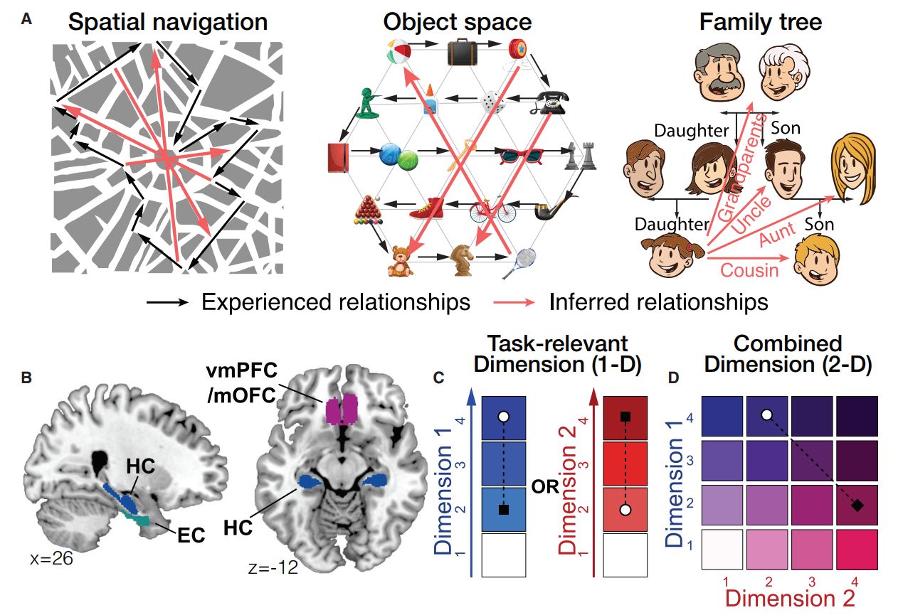 Memory-cog-map