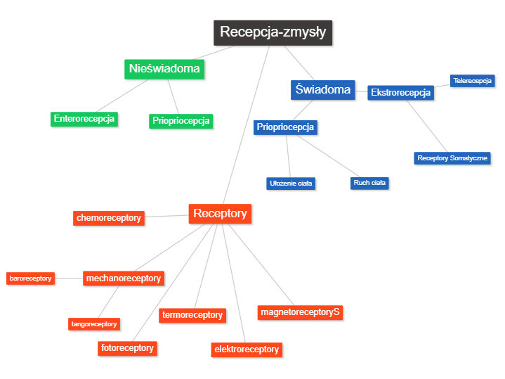 Recepcja-zmysly