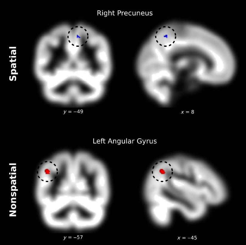 brain_numbers