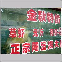 Shanghai-157