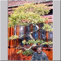 Shanghai-364.jpg