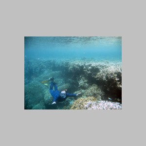 Bali-Mimpi-128.jpg