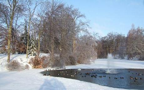 Ice-063.jpg
