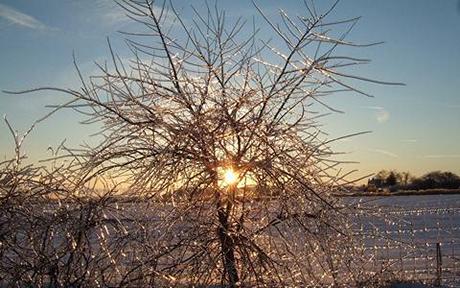Ice-235.jpg