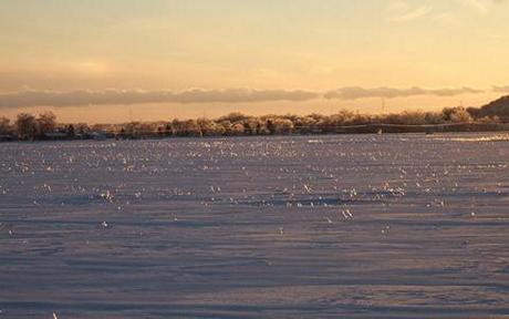 Ice-239.jpg