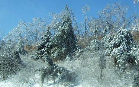 Ice-343.jpg