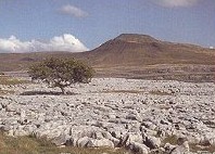 Ingleborough