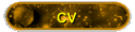 CV-POLISH